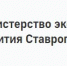 Ставропольские студенты-инженеры стали лучшими на всероссийском чемпионате «Профессионалы» - Советский городской округ